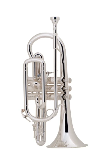 Bach Stradivarius Cornet in Bb 184SML Shepherd's Crook