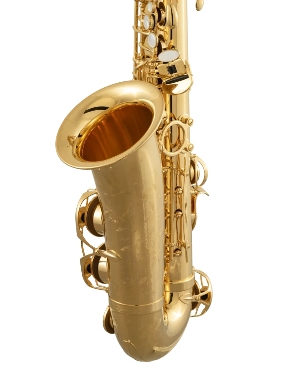 92GP HSP Professional Gold Alto Saxophone In Bk Vr Ls