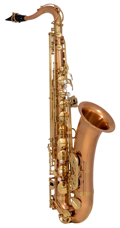 TWO2 Yanagisawa Professional Tenor Saxophone