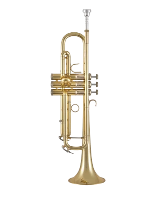 Bach Stradivarius Trumpet in Bb 19037X
