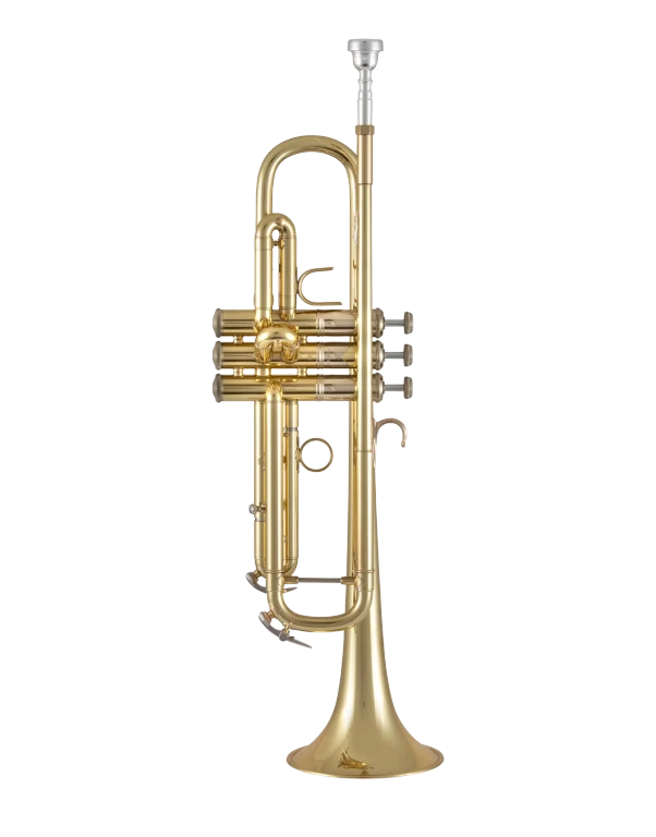 190M37X Bach Standard Professional BflatTrumpet