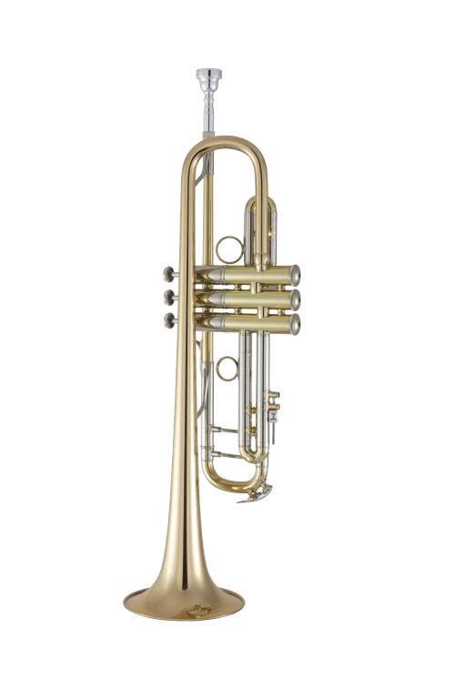 190L65GV Bach Professional Trumpet