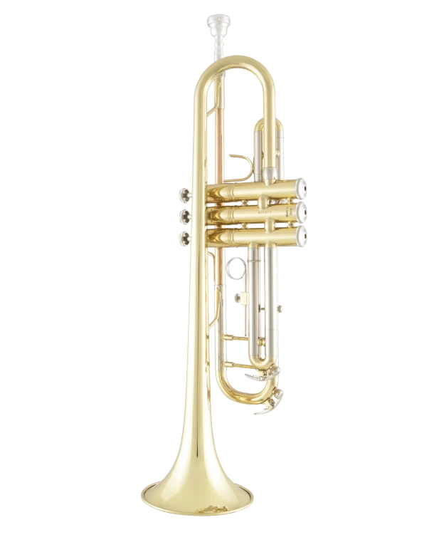 Bach Trumpet in Bb BTR201 | Conn Selmer Bach Trumpet in Bb BTR201 | Conn Selmer