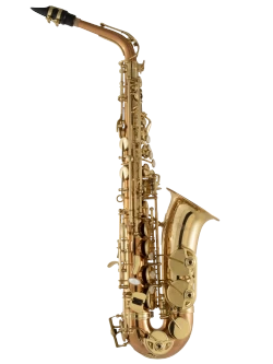 Selmer Alto Saxophone in Eb SAS511C