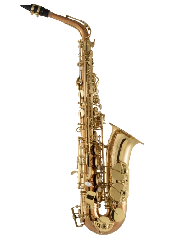 SAS511C Selmer Copper Intermediate Alto Saxophone In Fr Vr