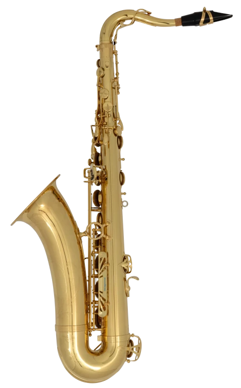 TWO10 Yanagisawa Professional Tenor Saxophone