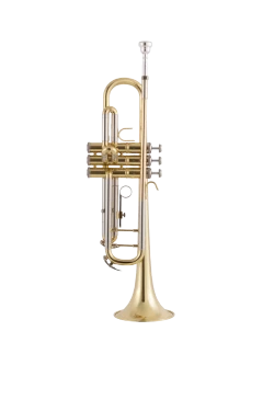 Bach Trumpet in Bb BTR302