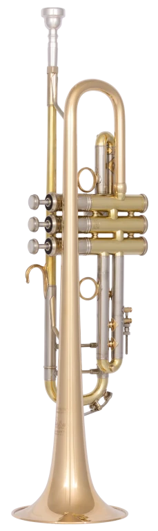 190L65GVU Bach Professional Trumpet