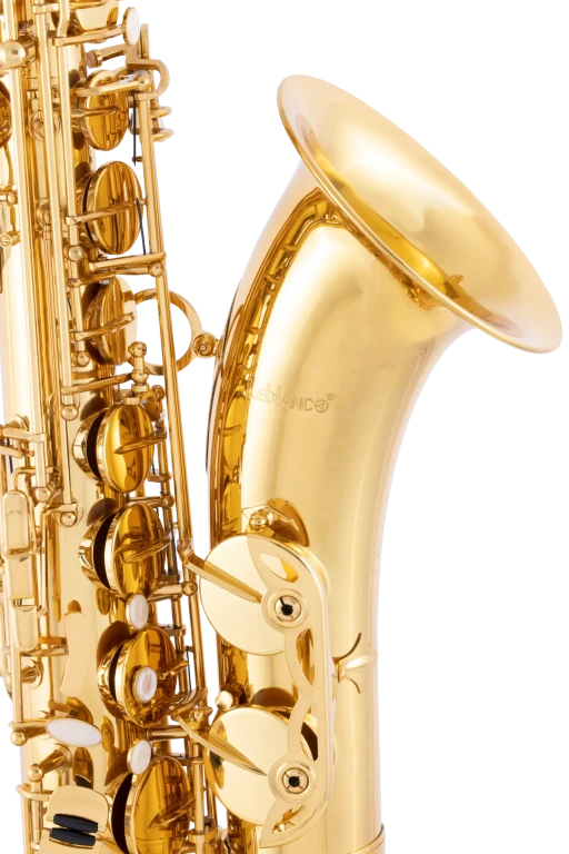 LTS211 Leblanc Student Tenor Saxophone