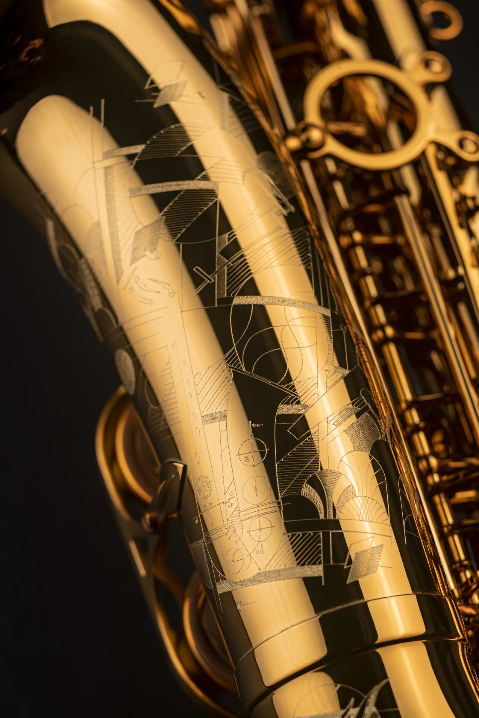 82SIG Selmer Professional Alto Saxophone ArtShot - zoomed in