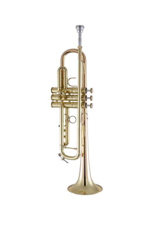 17043GYR Bach Professional Trumpet