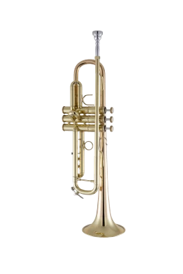Bach Trumpet in Bb 17043