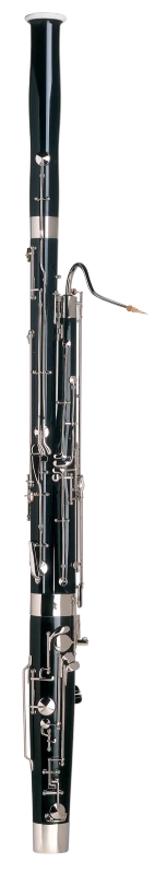 Bassoon Instrument