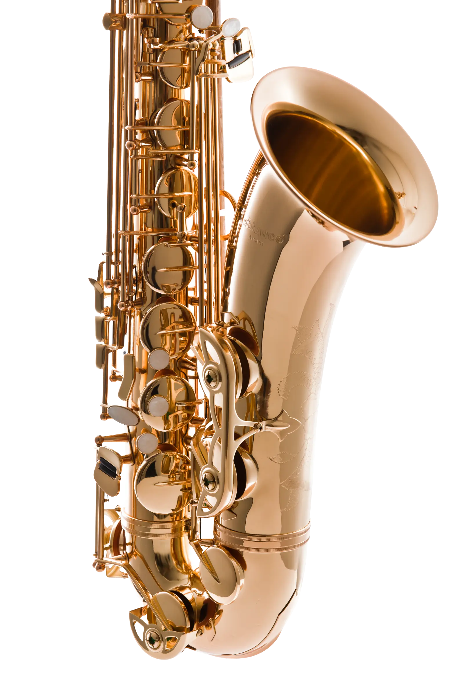 LTS511 Leblanc Tenor Saxophone - zoomed in