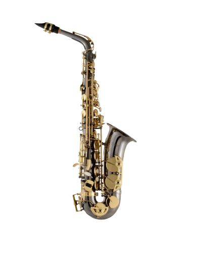 Selmer Alto Saxophone in Eb SAS511