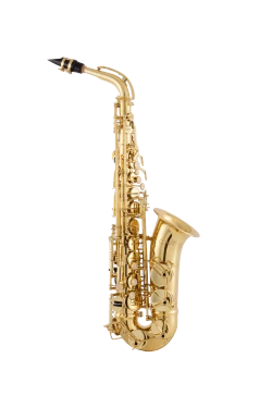 Alto Saxophone CAS211