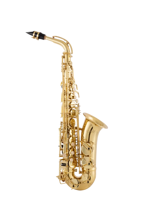 CAS211 Conn Student AltoSaxophone