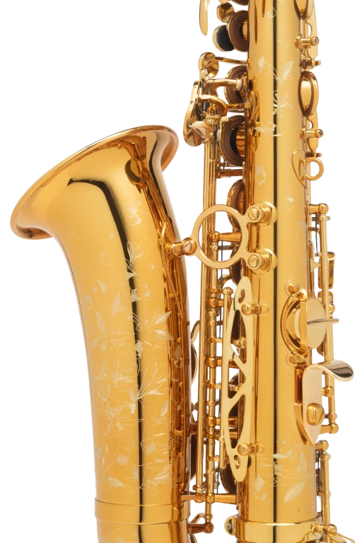 92DL Supreme HSP Standard Professional Saxophone In Bk Vr Xcu 1