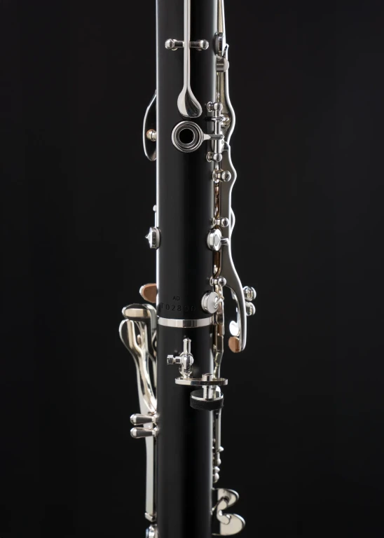 B16PROLOGUE2C Henry Selmer Paris Advanced Clarinet
