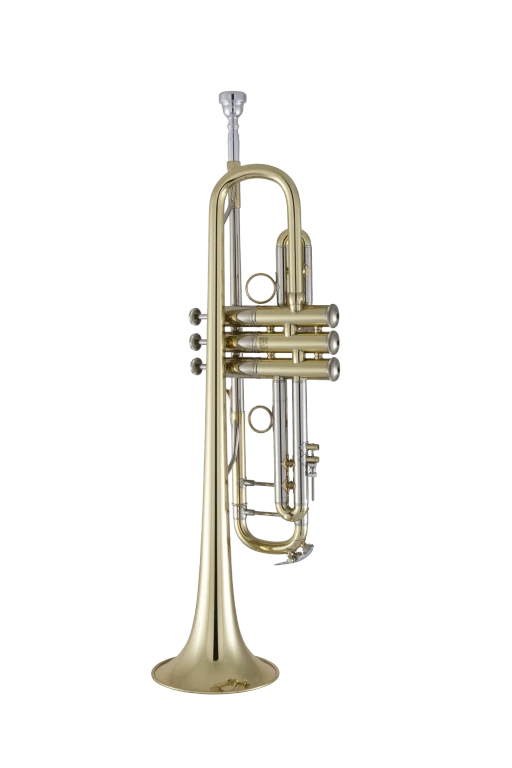 19072V Bach Professional Trumpet