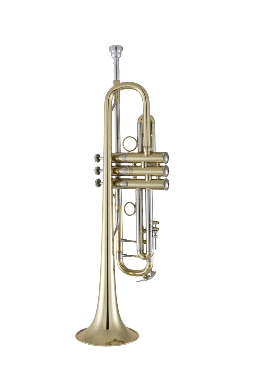 19072V Bach Professional Trumpet