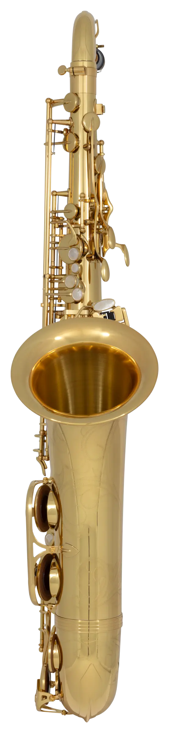 TWO10 Yanagisawa Professional Tenor Saxophone - zoomed in