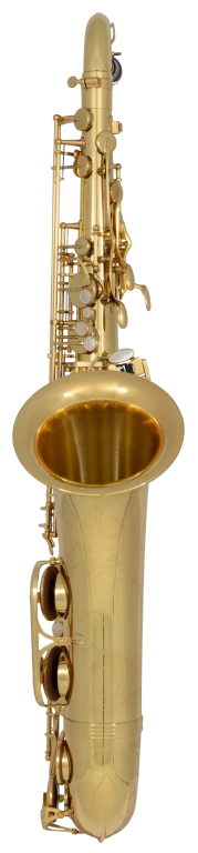 TWO10 Yanagisawa Professional Tenor Saxophone