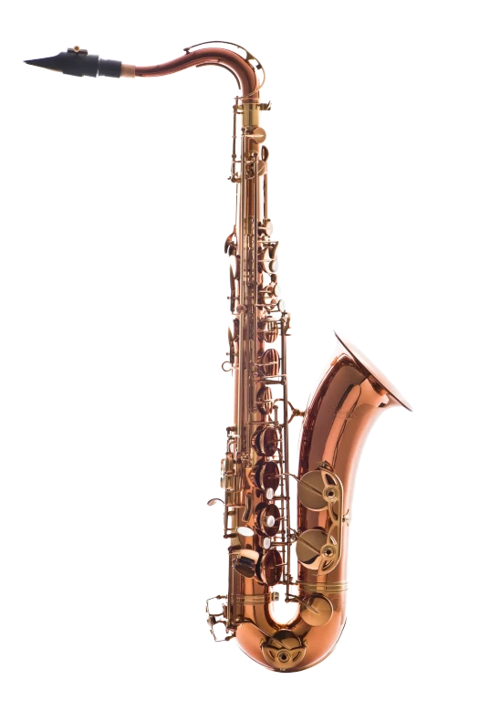 LTS711DL Leblanc Tenor Saxophone