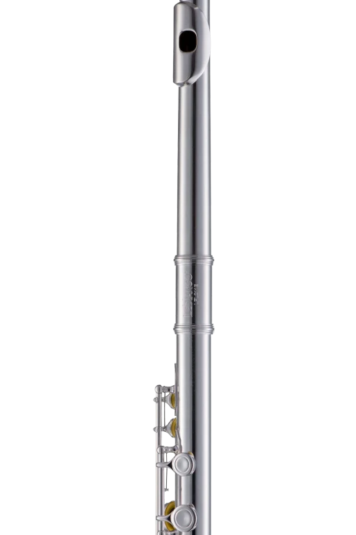 LFL211EDIR Leblanc Standard Student Flute