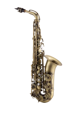 Intermediate Alto Saxophone CAS411AM