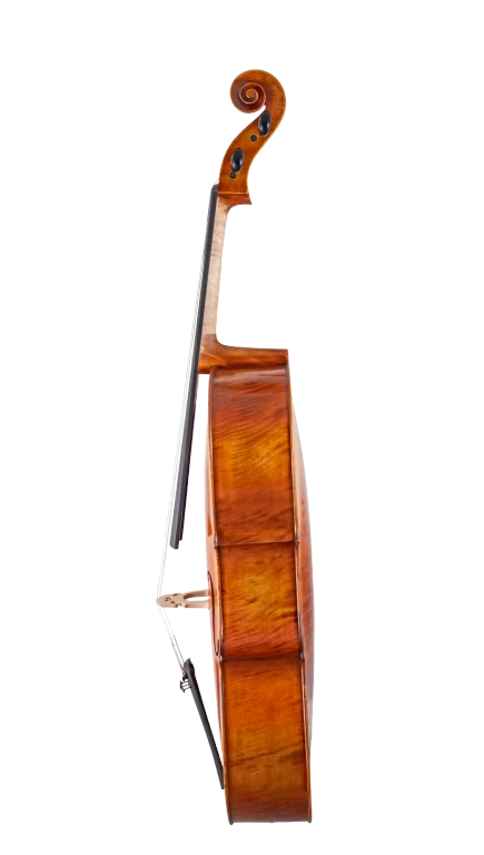 SR75E4H S&R Professional Cello