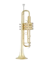 Bach Trumpet in Bb BTR411