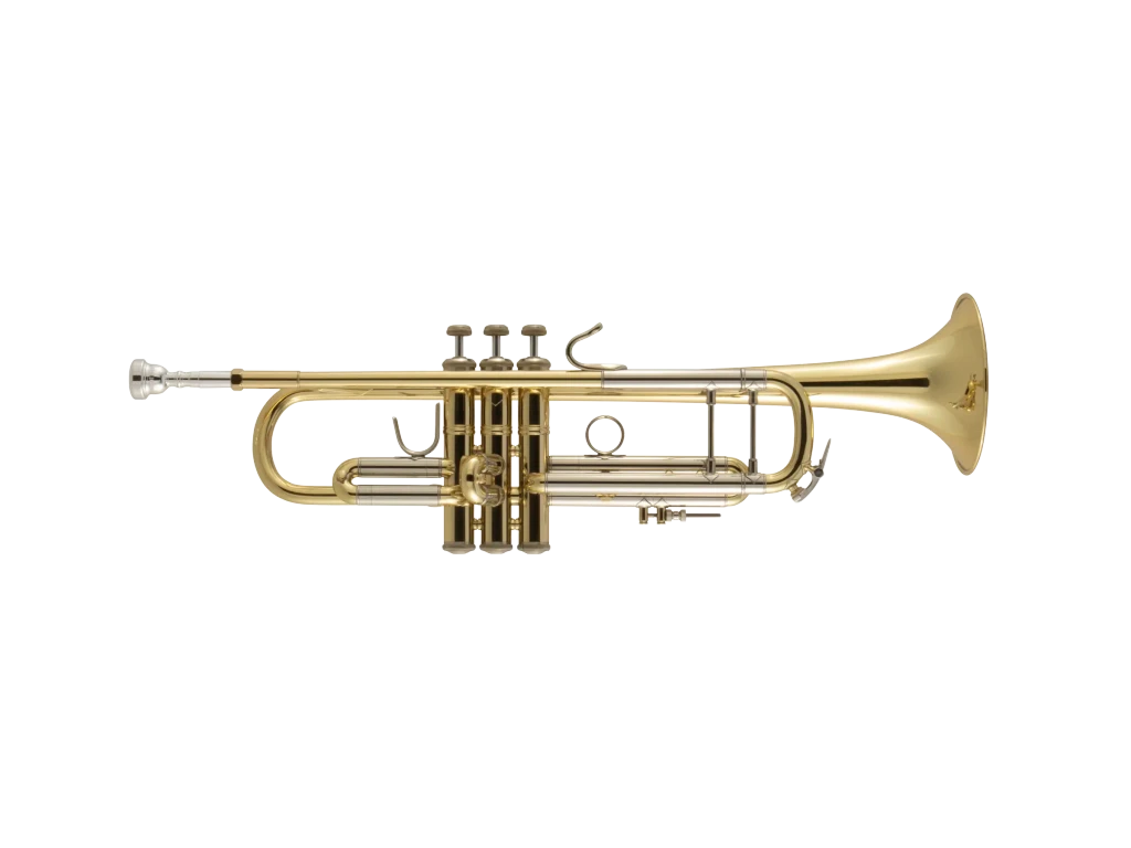 18037 Bach Standard Professional Trumpet In Fr Hz Fs