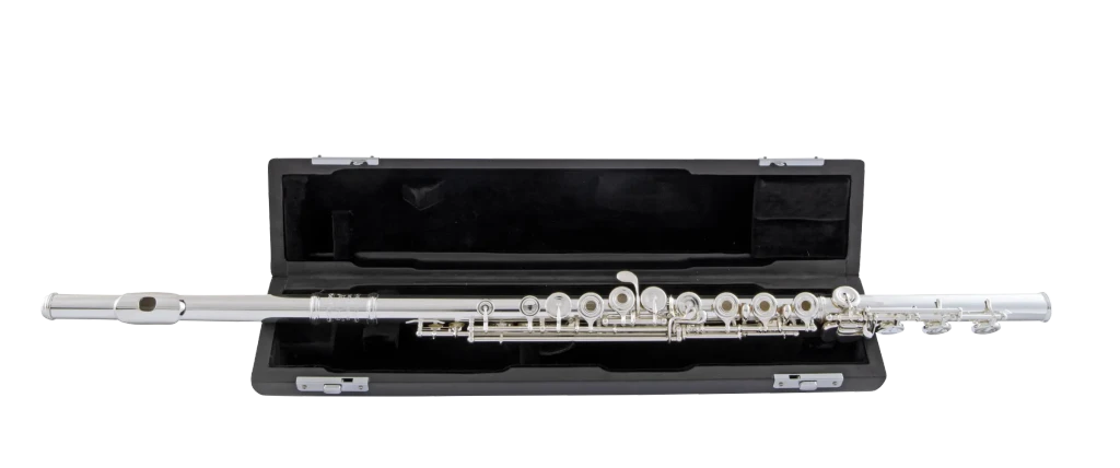 SFL611BEOC Selmer Standard Intermediate Flute Ic Fr Hz Fs