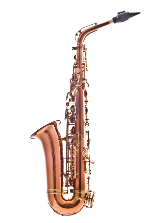 LAS711DL Alto Saxophone