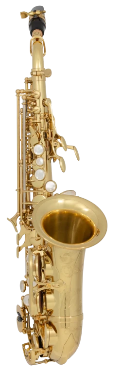 SCWO10 Yanagisawa Curves Soprano Saxophone