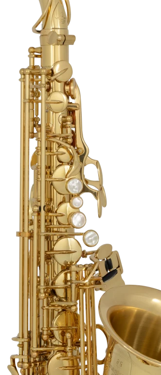 AW01 Yanagisawa Professional Alto Saxophone