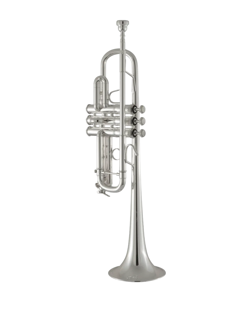 C180SL229W30 Bach Silver Professional Trumpet In Fr Vr Fs