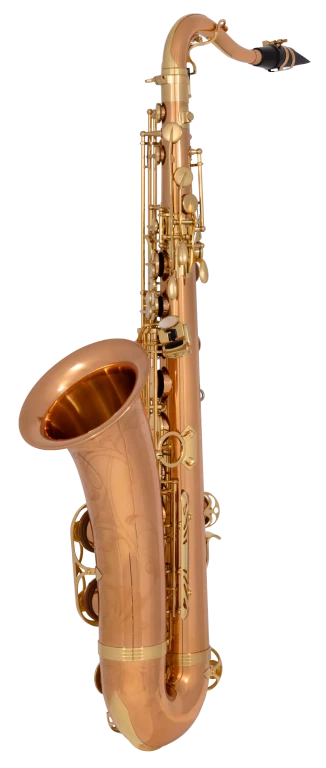 TWO20 Yanagisawa Professional Tenor Saxophone