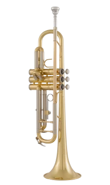Bach Trumpet in Bb BTR312
