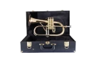 Conn Vintage One Flugelhorn in Bb 1FG with Gold Brass Bell