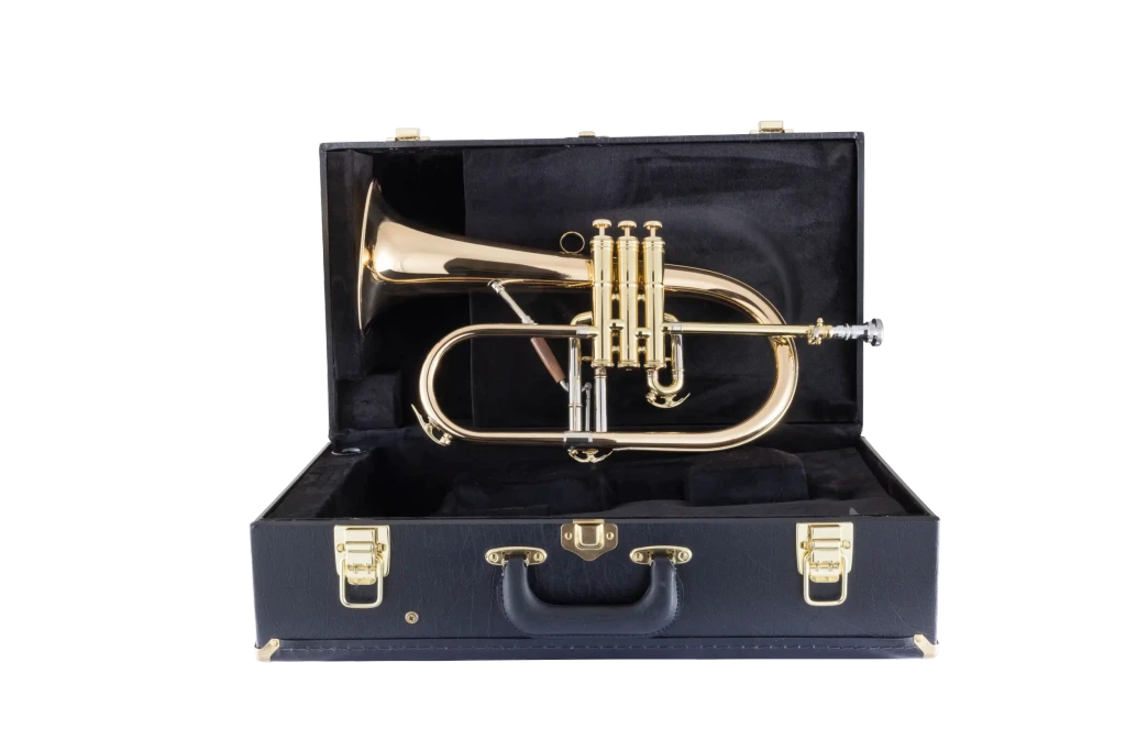 1FG Conn Professional Flugel Horn