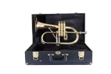 Conn Vintage One Flugelhorn in Bb 1FG with Gold Brass Bell