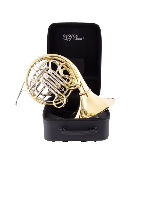 6DS Conn Advanced French Horn