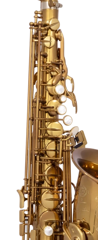 82SIGUSA1 HSP Professional  Alto