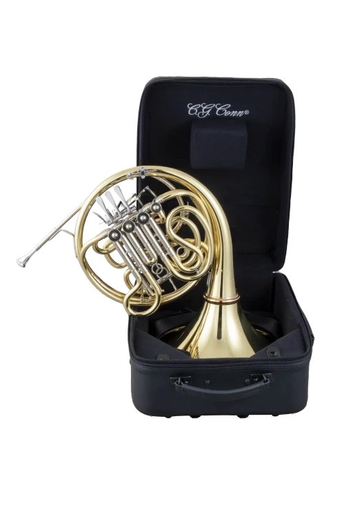 11DNS Conn Professional French Horn