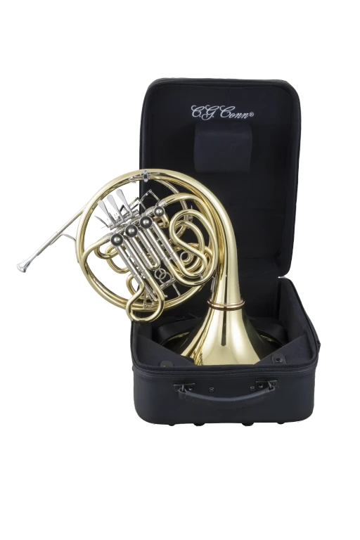 11DNS Conn Professional French Horn