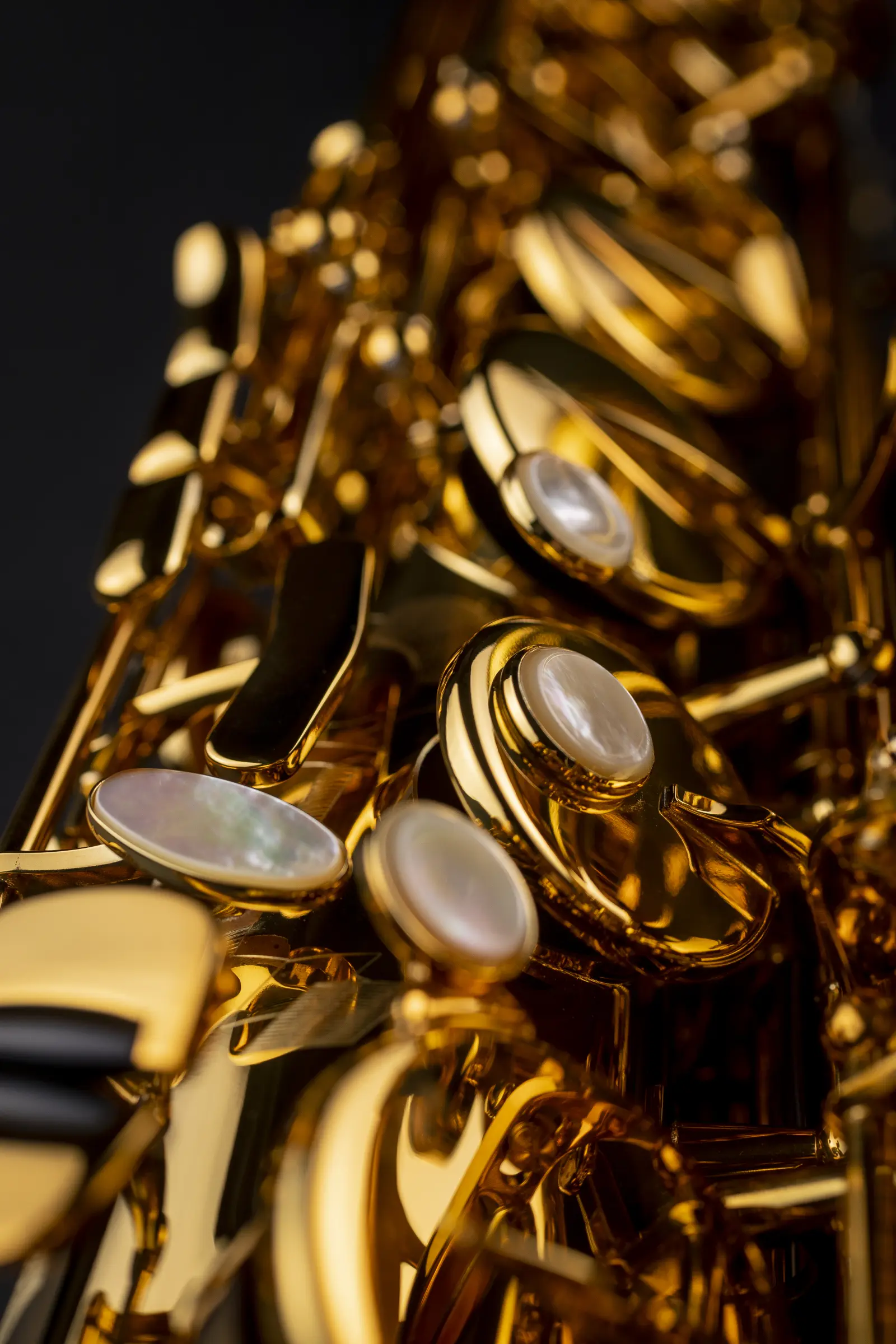 84SIG Selmer Professional Tenor Saxophone ArtShot - zoomed in