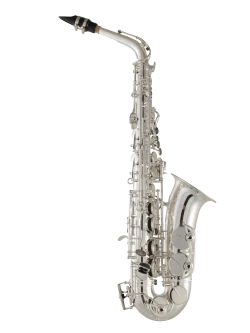 Selmer Alto Saxophone in Eb SAS511S