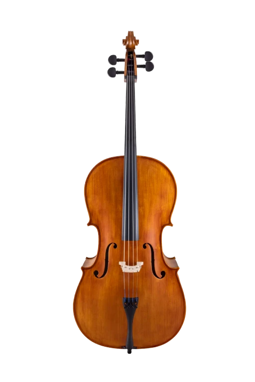 雪の豪奢 Roth & Scherl Cello Selmer Conn | Carved SR55E4H ラケット(軟式用)